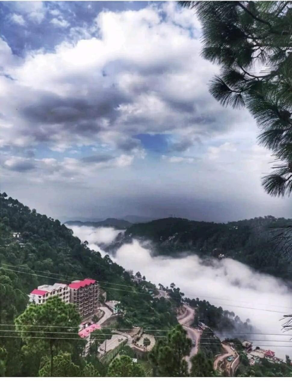 2Bhk Furnished Apartment/Near Kasauli/Barog/Luv Fun & Adventure Solan Exterior photo